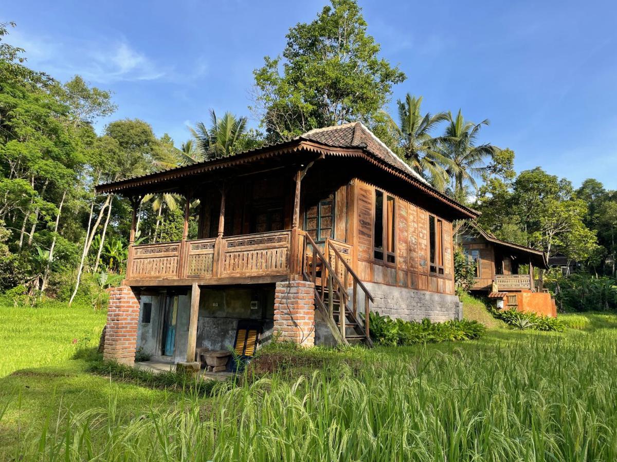 Oemah Tepi Sawah Villa Джатилувих Екстериор снимка