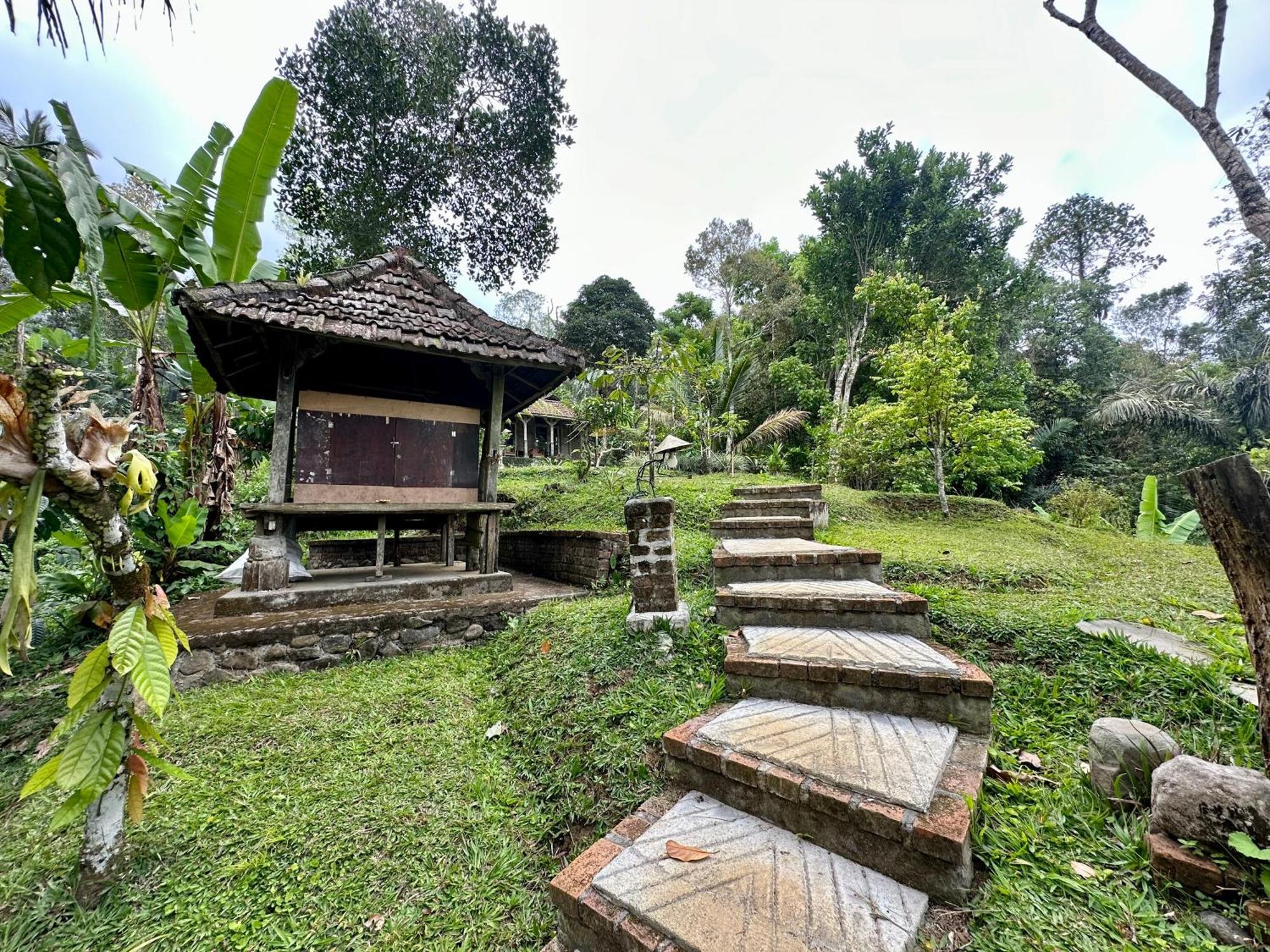 Oemah Tepi Sawah Villa Джатилувих Екстериор снимка