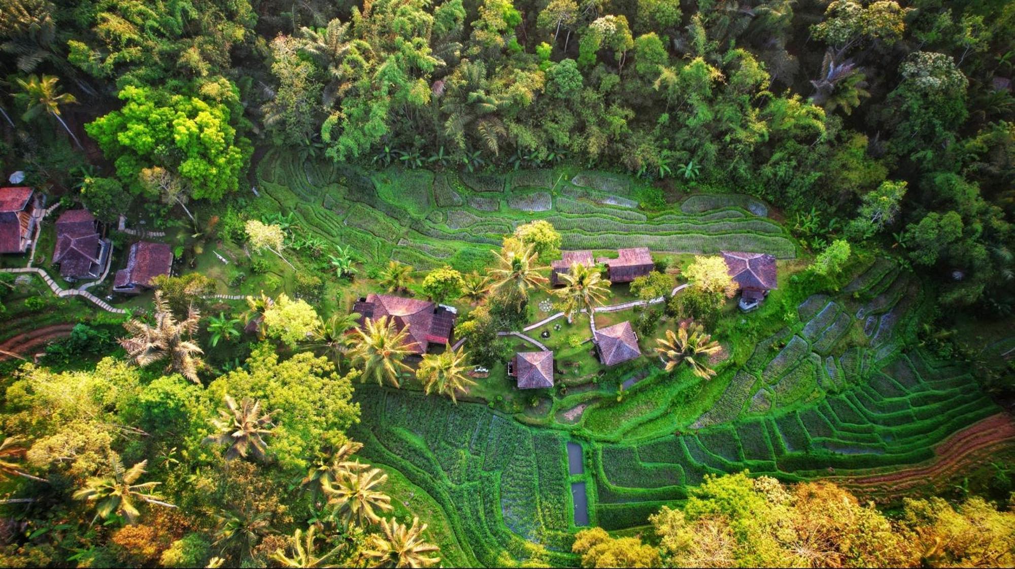Oemah Tepi Sawah Villa Джатилувих Екстериор снимка