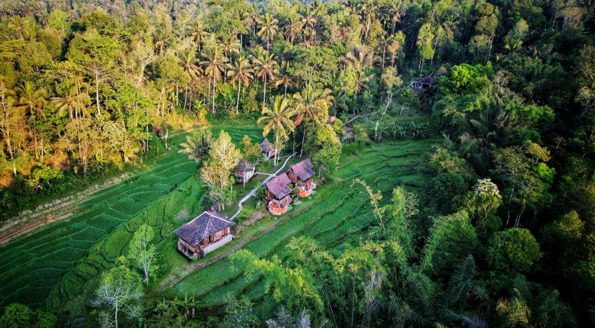 Oemah Tepi Sawah Villa Джатилувих Екстериор снимка